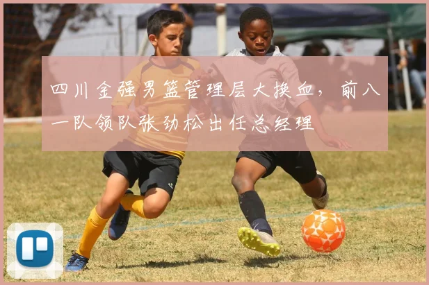 四川金强男篮管理层大换血，前八一队领队张劲松出任总经理